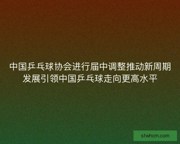 中国乒乓球协会进行届中调整推动新周期发展引领中国乒乓球走向更高水平